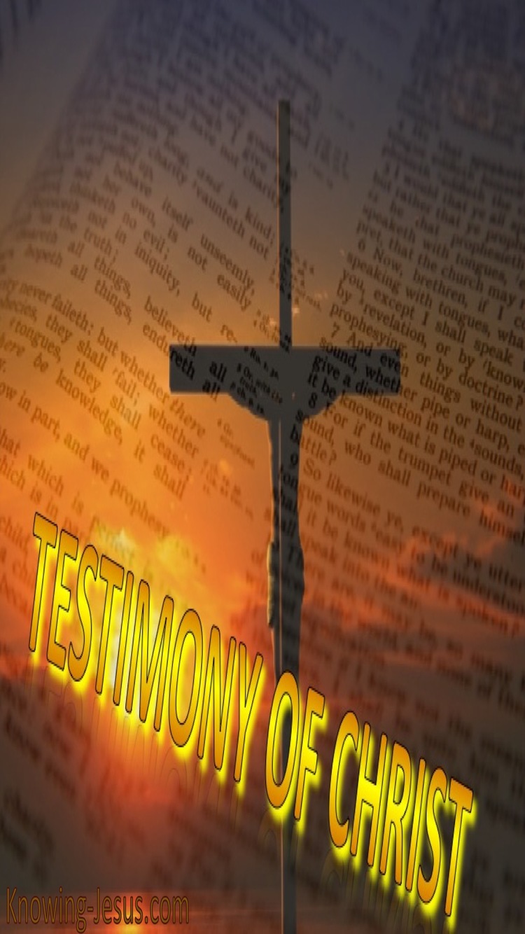 John 5:39 The Scriptures Testify About Me (yellow)